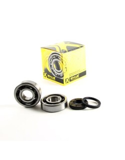 CRANK BEARING SEAL KIT