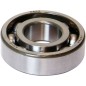 MAIN BEARINGS