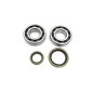 CRANK BEARING SEAL KIT
