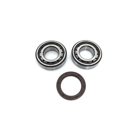 CRANK BEARING SEAL KIT