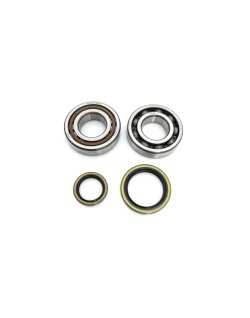 CRANK BEARING SEAL KIT