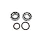 CRANK BEARING SEAL KIT