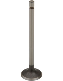 STEEL EXH VALVE XR200R