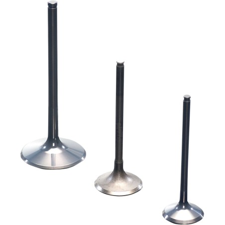 VALVE EX TITAN LTR450 06-11