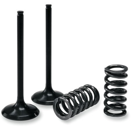 VALVE IN/SPRING KIT CRF450R