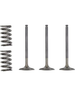 VALVE IN/SPRING KIT YZ/WR450F