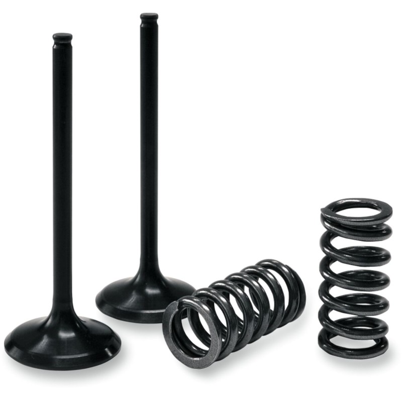 VALVE EX/SPRING KIT YZ/WR450F