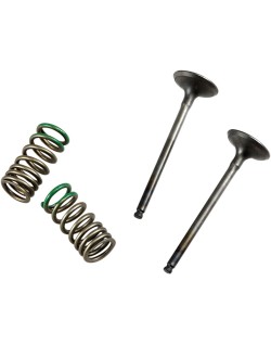 VALVE EX/SPRING KIT YZ/WR250F
