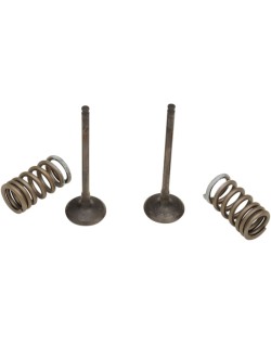 VALVE EX/SPRING KIT RM-Z250