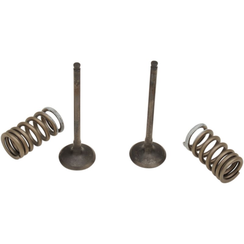 VALVE EX/SPRING KIT RM-Z250