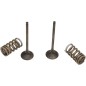 VALVE EX/SPRING KIT RM-Z250