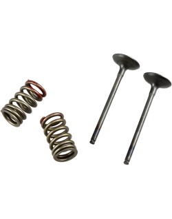 VALVE EX/SPRING KX250F+RMZ250