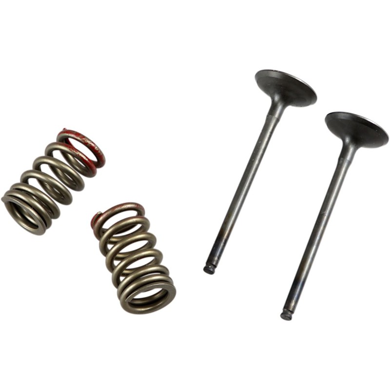 VALVE EX/SPRING KX250F+RMZ250