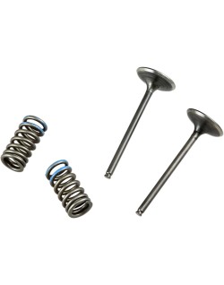 VALVE IN/SPRING KIT CRF250R