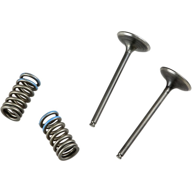 VALVE IN/SPRING KIT CRF250R