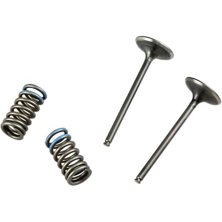 VALVE IN/SPRING KIT CRF250R