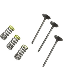 VALVE IN/SPRING KIT YZ/WR250F