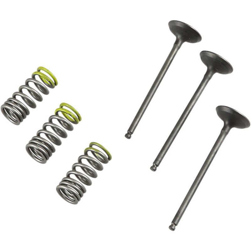 VALVE IN/SPRING KIT YZ/WR250F