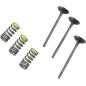 VALVE IN/SPRING KIT YZ/WR250F