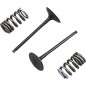 VALVE IN/SPRING KIT RM-Z250