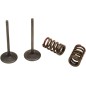 VALVE IN/SPRING KX250F+RMZ250