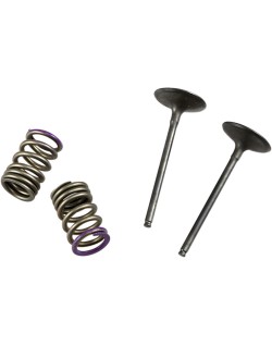 VALVE IN/SPRING KIT KX250F