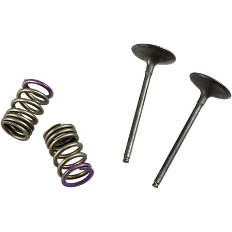 VALVE IN/SPRING KIT KX250F