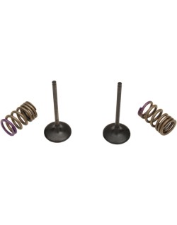 VALVE IN/SPRING KIT KX250F