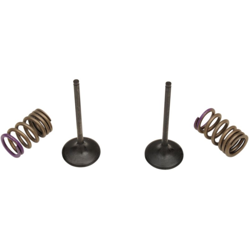 VALVE IN/SPRING KIT KX250F
