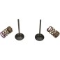 VALVE IN/SPRING KIT KX250F