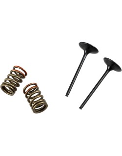 VALVE IN/SPRING KIT KX250F