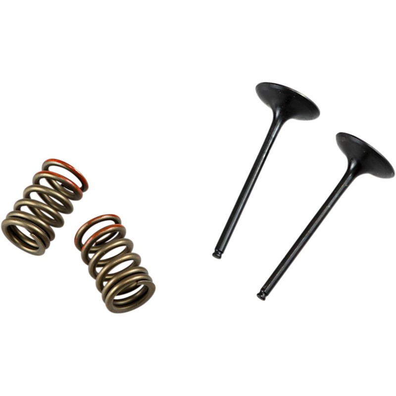 VALVE IN/SPRING KIT KX250F