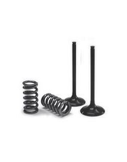 VALVE EX/SPRING KIT EXC-F