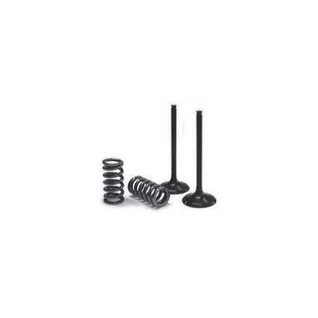 VALVE EX/SPRING KIT EXC-F
