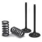 VALVE EX/SPRING KIT EXC-F