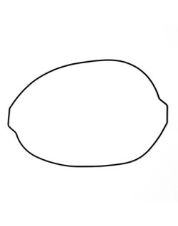 CLUTCH COVER GASKET KTM