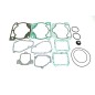 GASKET TE RR250 13-21