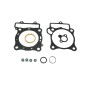 GASKET TE CRF250 22-23