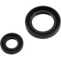 CRANKSEAL SET CR250 92-07