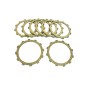 FRCTION PLTE CRF250 22-