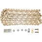 CHAIN ROLLER 520x120 L G