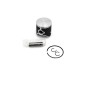PISTON KIT 44 96MM