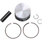 PISTON KIT 24101A