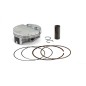 PISTON KIT PRO D77.95