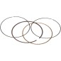 PISTON RING 59021000001