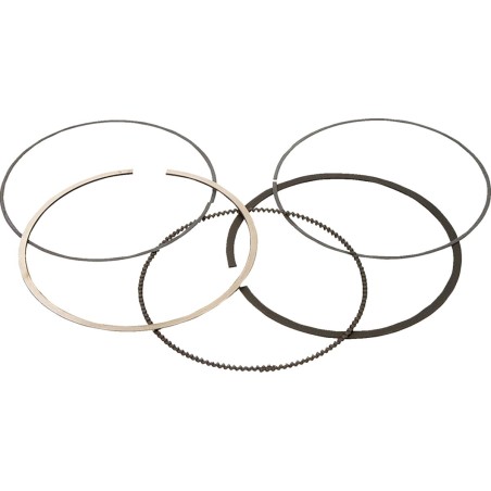 PISTON RING 590310200002