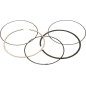 PISTON RING 590310200002