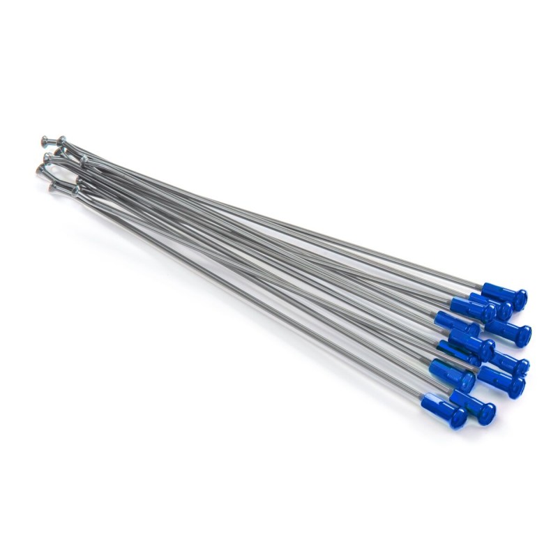 SPOKES 21'FR SI /BL NIP 12PC