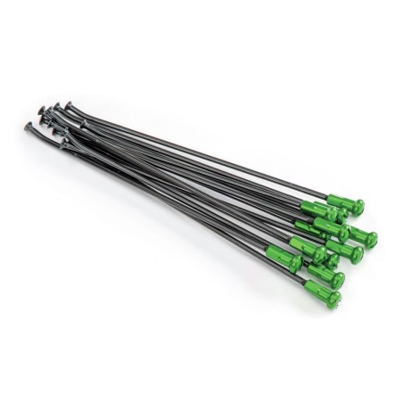 SPOKES 21FR BK/GN NIP 12PC