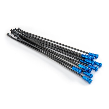 SPOKES 21FR BK /BL NIP 12PC